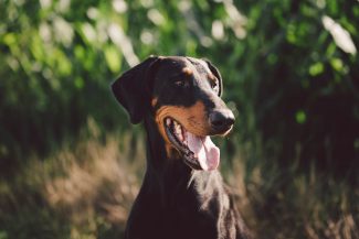 Road and Board // Sommer 2020